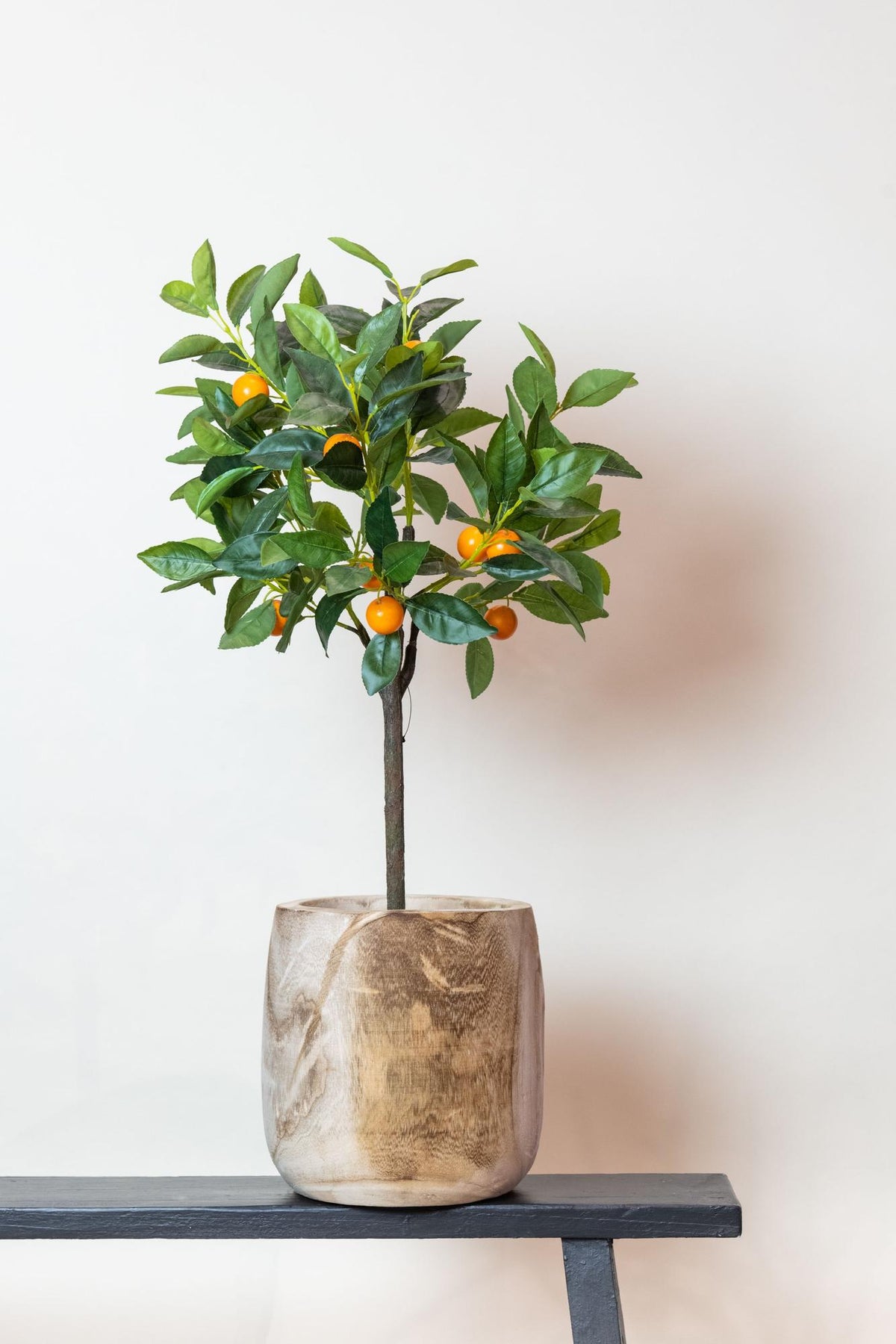 Kunstpflanze - Citrus sinensis - Orangenbaum
