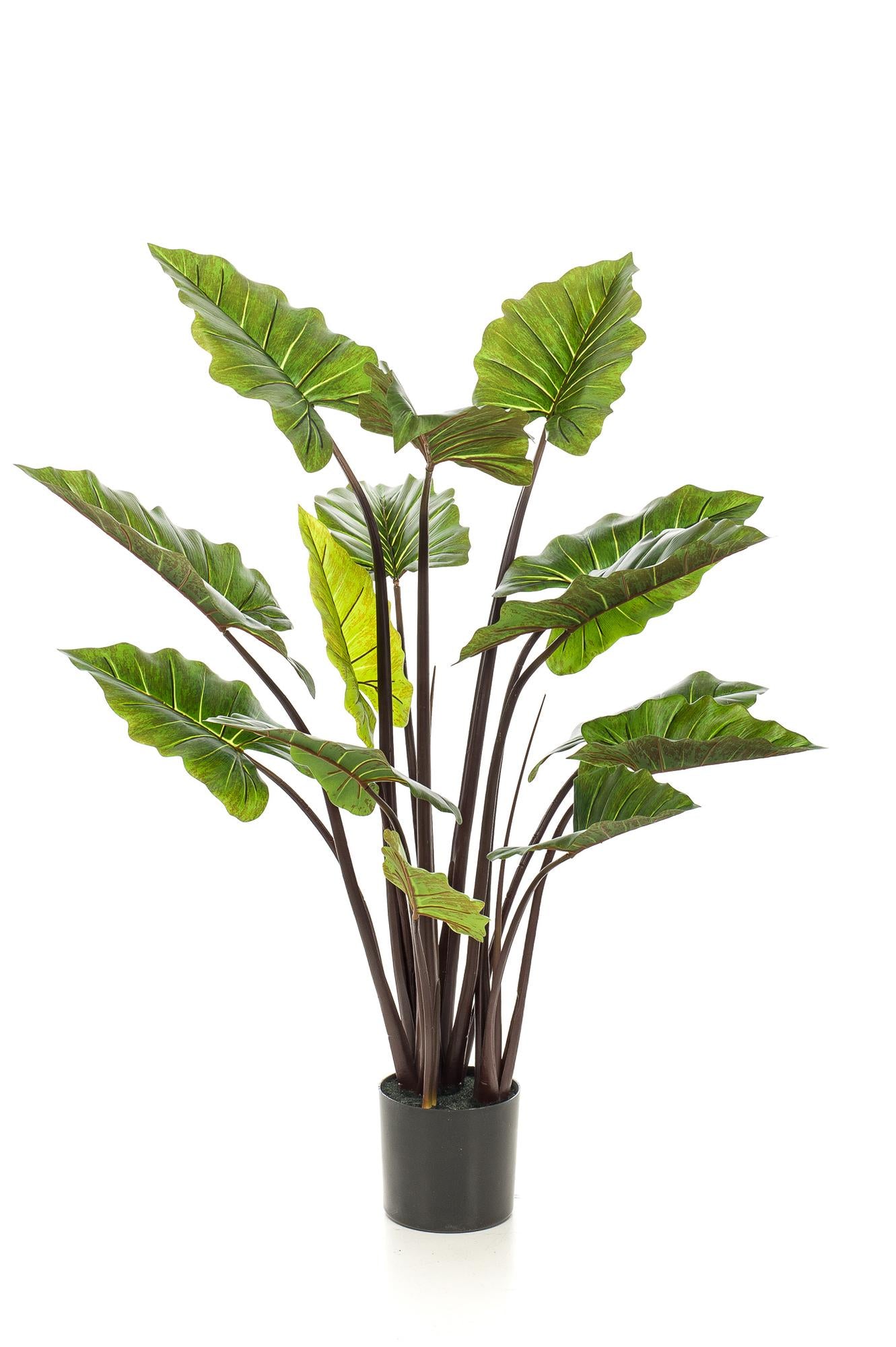 Kunstpflanze – Colocasia Pink China – Elefantenohr – 130 cm