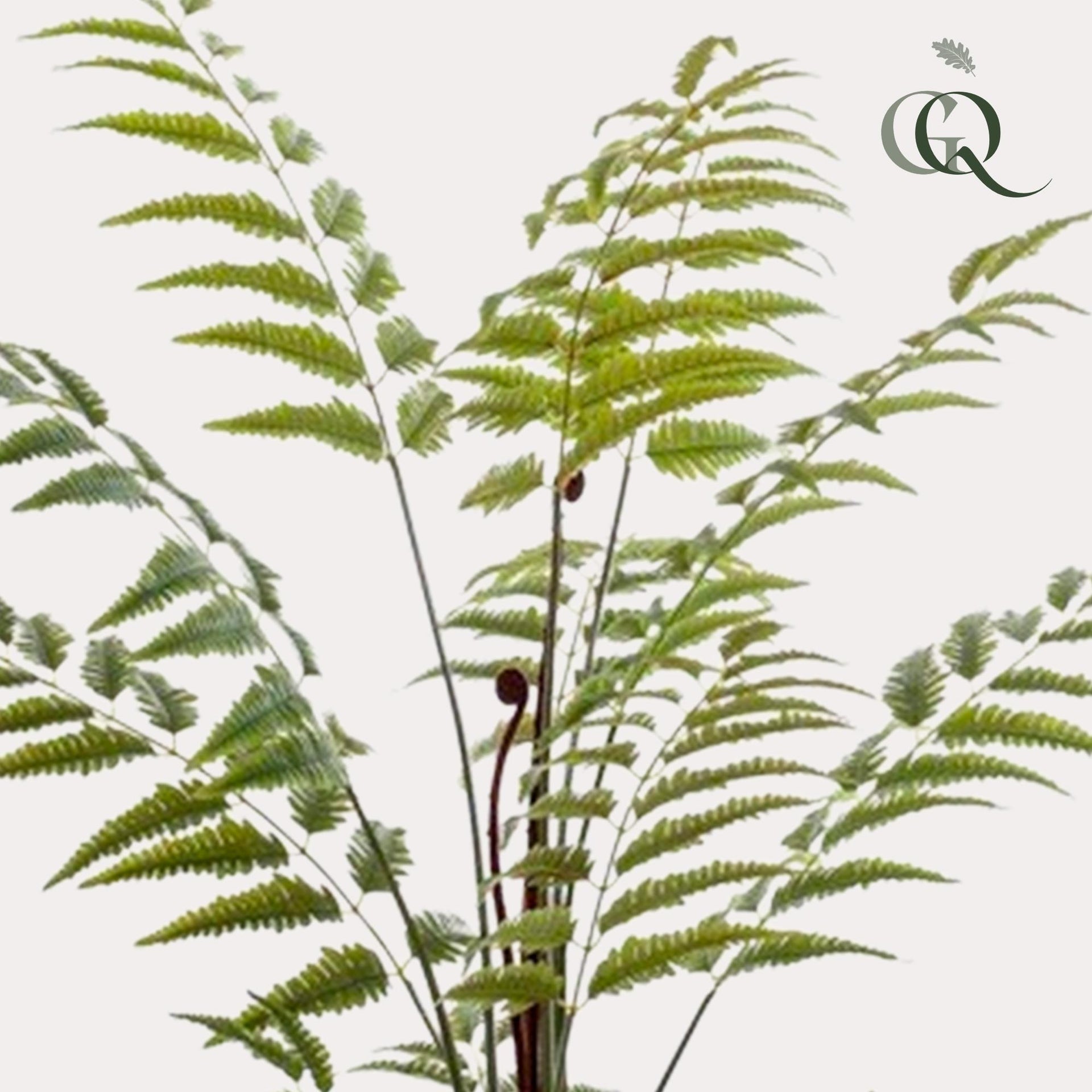 Kunstpflanze – Rumohra adiantiformis – Lederfarn – 150 cm