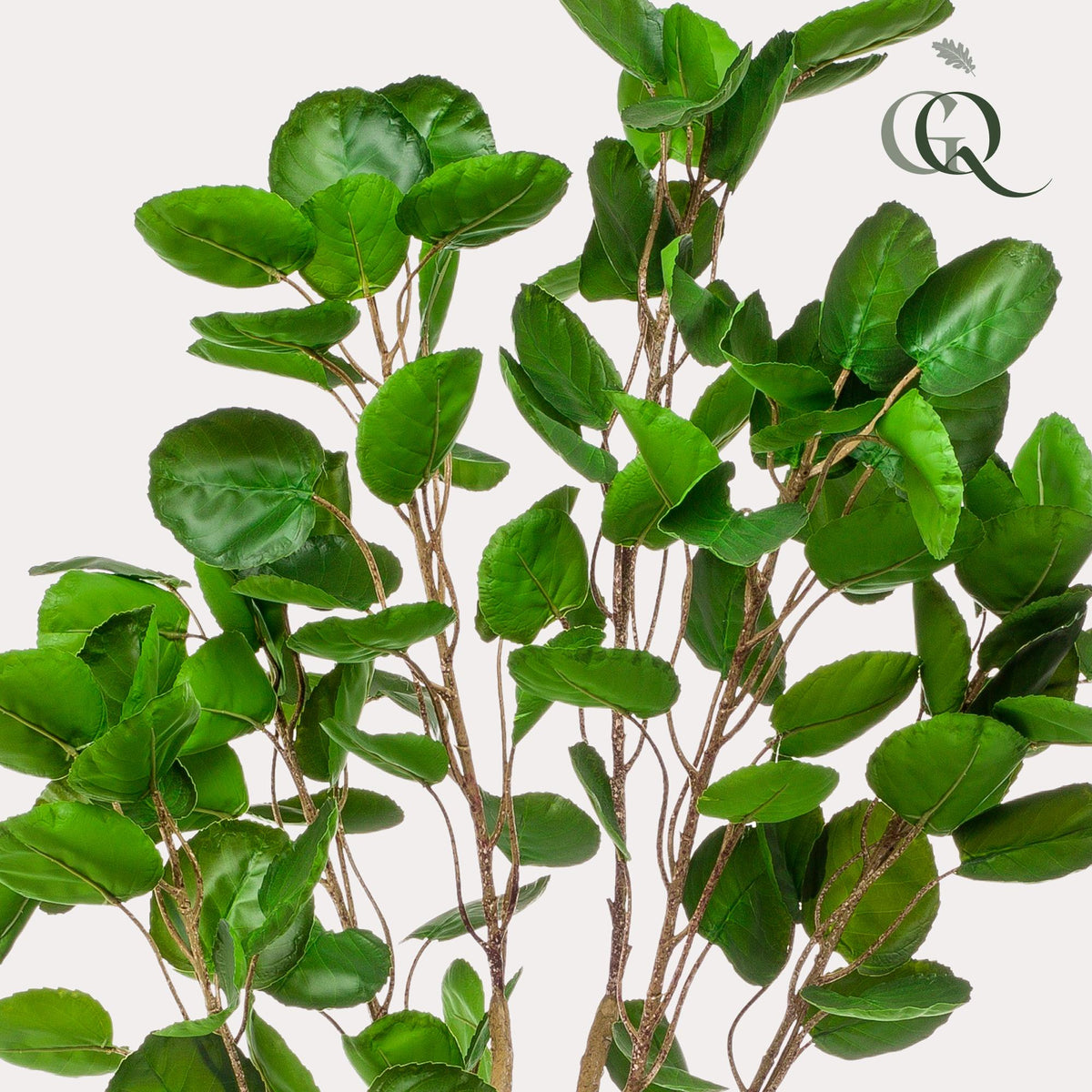 Kunstpflanze - Polyscias - Aralia