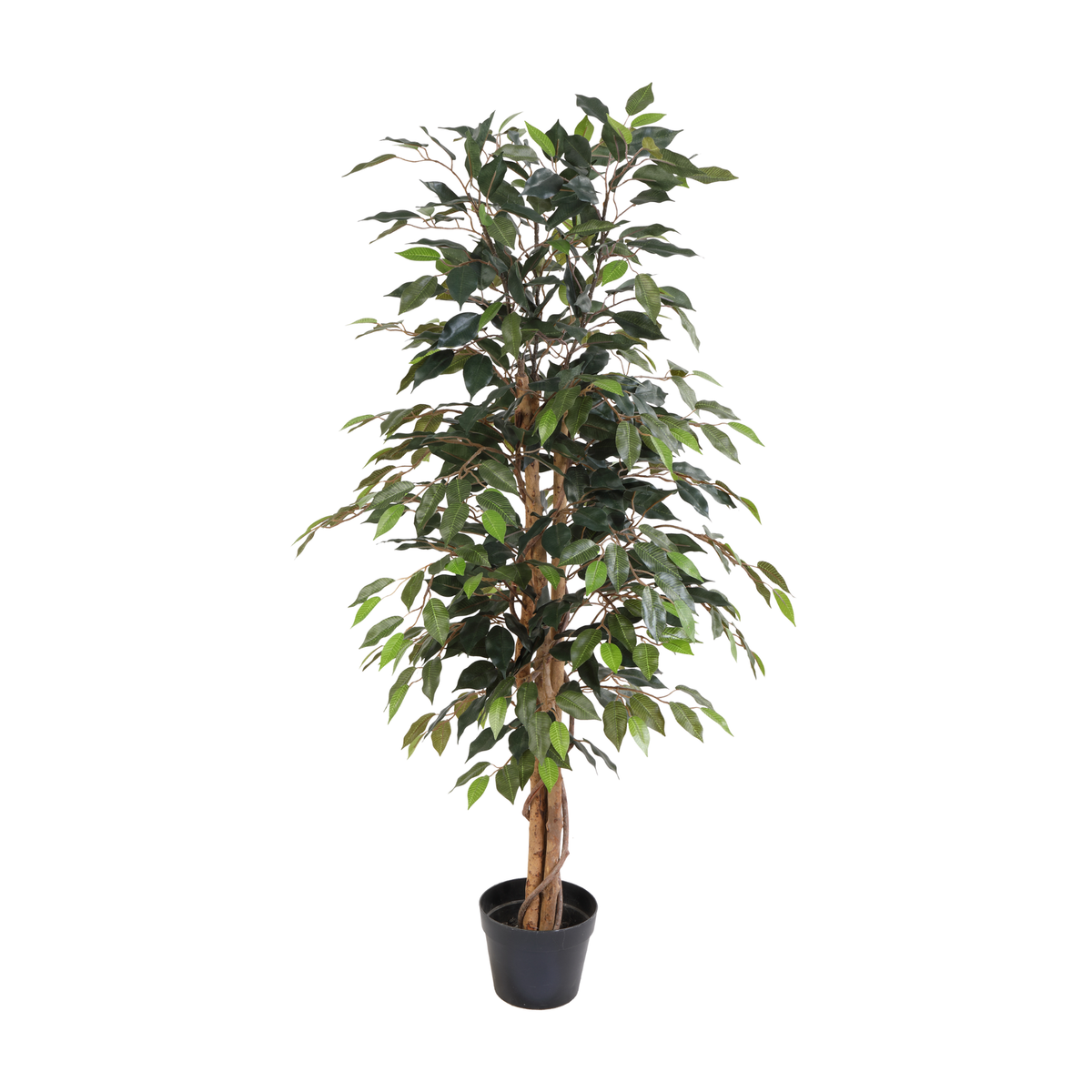 ARTIFICIAL Ficus Benjamina