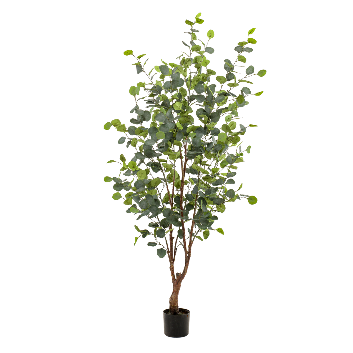 Kunstpflanze - Eucalyptusbaum - Blauer Gummibaum