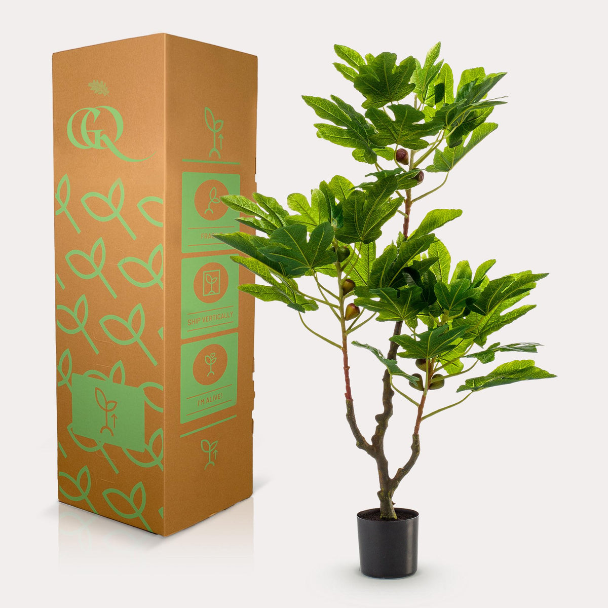 Kunstpflanze - Ficus carica - Feigenbaum