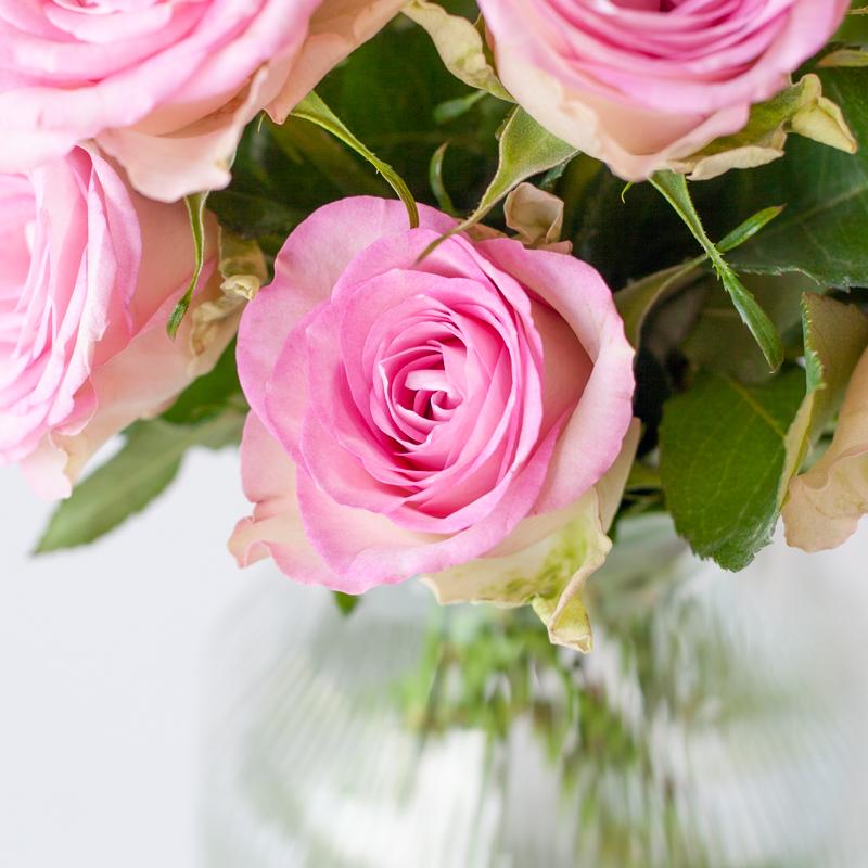 Rosa Rosen im Briefkasten - Sweet Roses