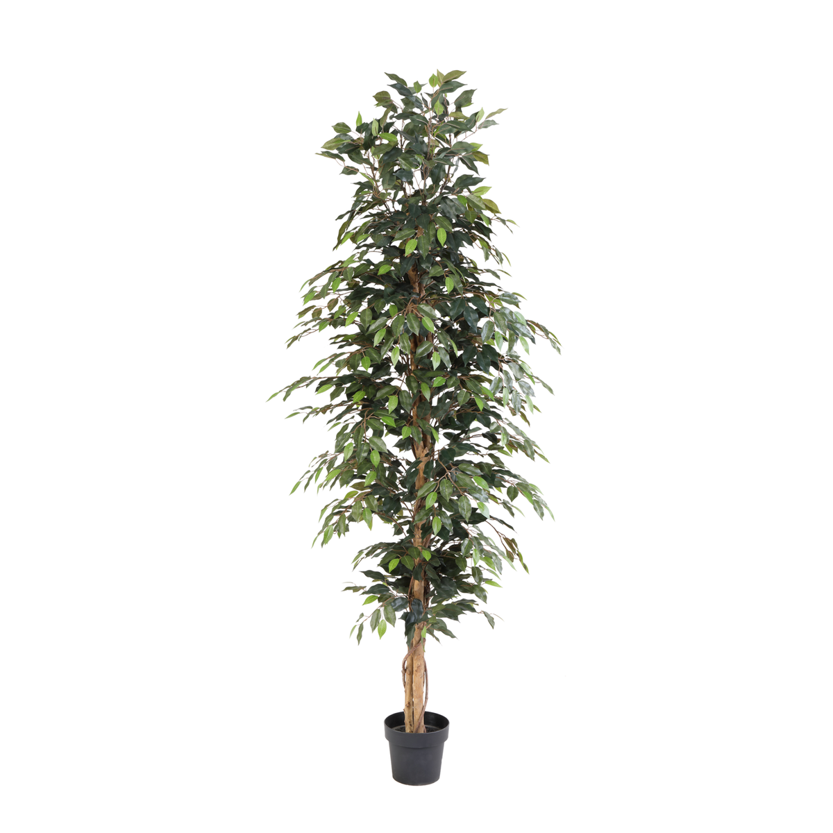 ARTIFICIAL Ficus Benjamina