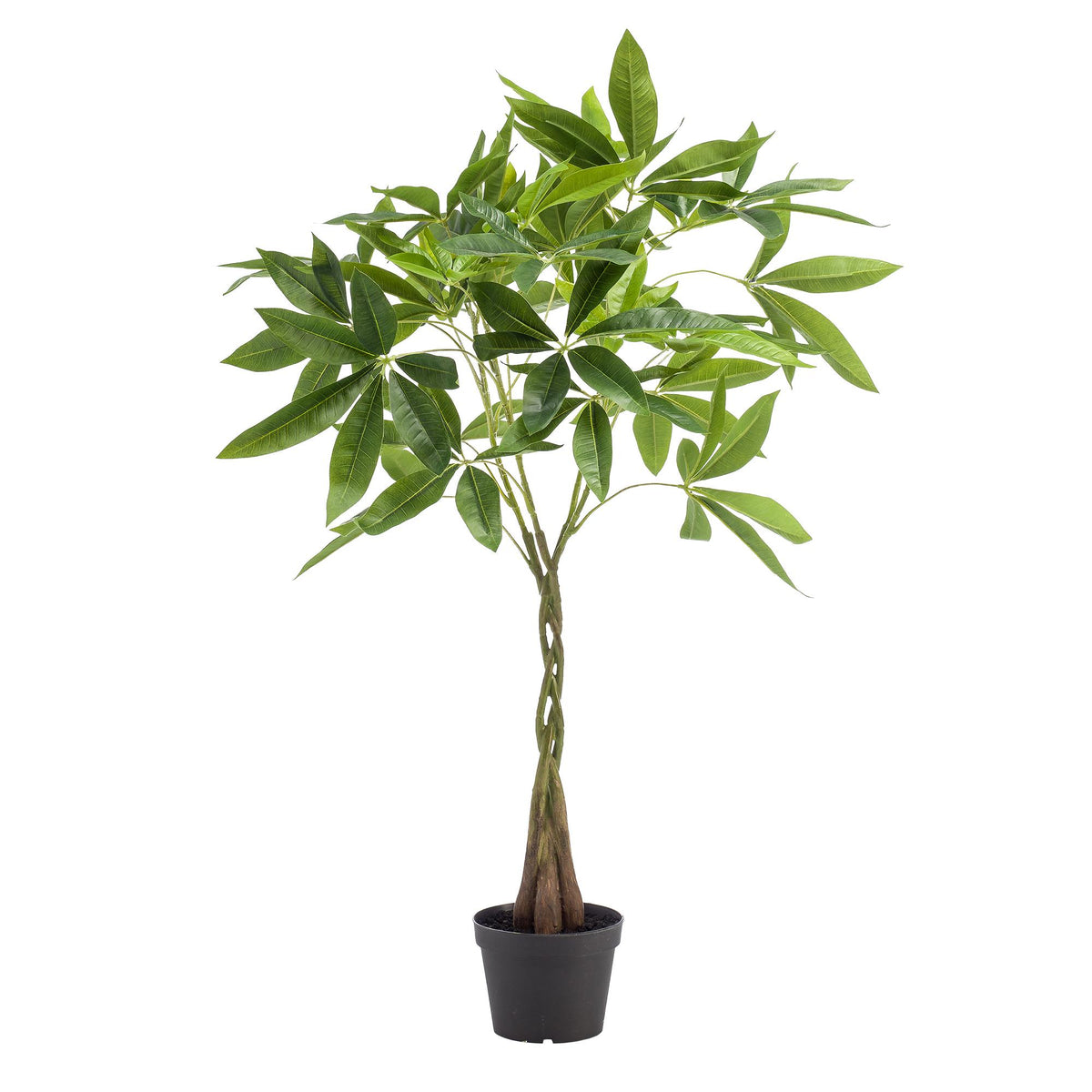 kunstplant - Pachira aquatica - Geldboom