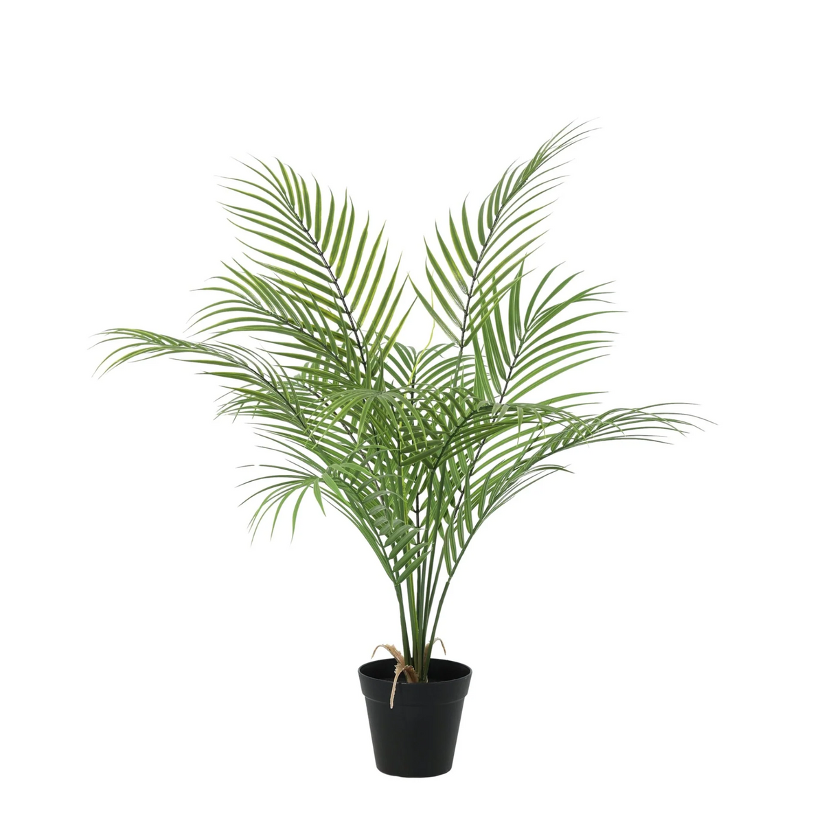 ARTIFICIAL Kentia palm