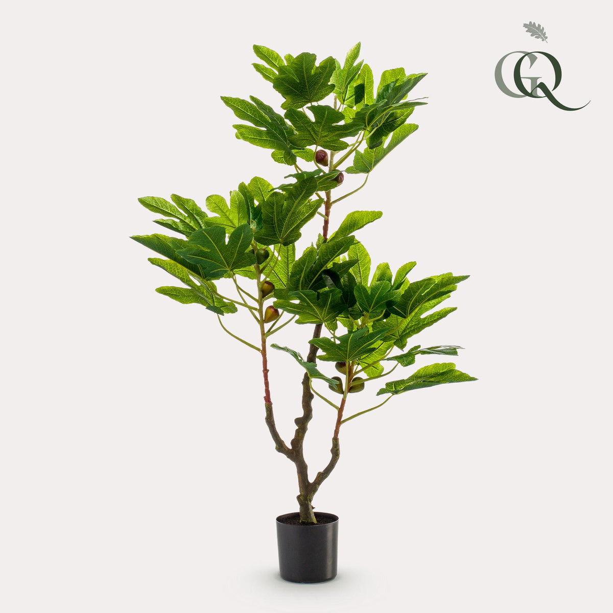 Kunstpflanze - Ficus carica - Feigenbaum
