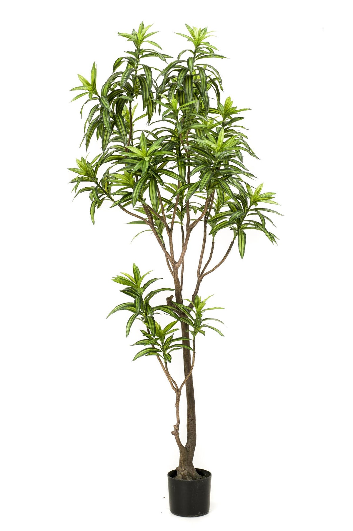 Kunstpflanze - Dracaena - Drachenbaum