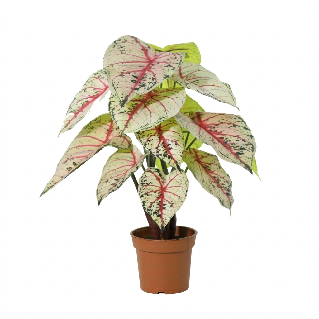 ARTIFICIAL Caladium white / pink