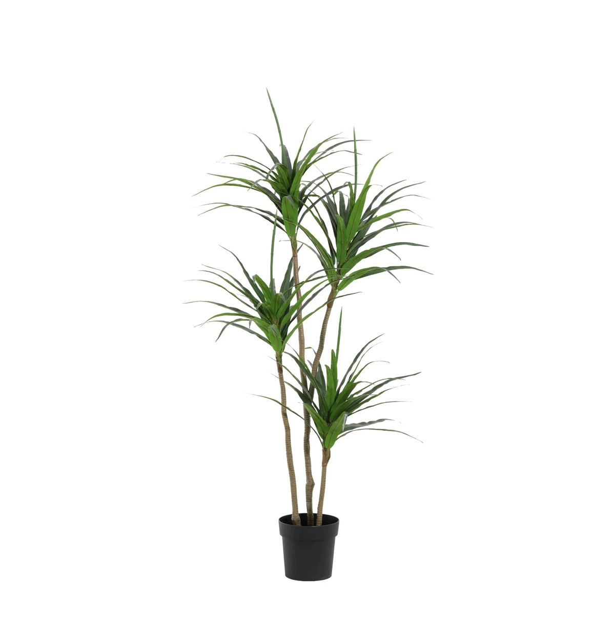 ARTIFICIAL Dracaena