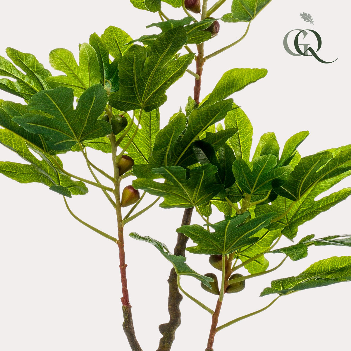 Kunstpflanze - Ficus carica - Feigenbaum