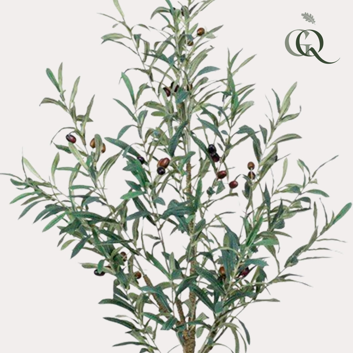 Kunstpflanze - Olea europaea - Olivenbaum