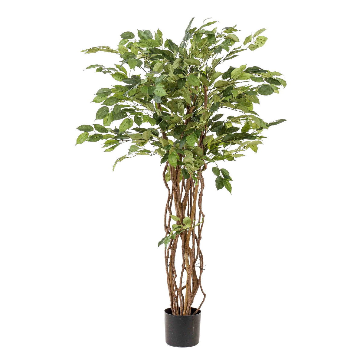 kunstplant - Ficus liana  - Vioolbladplant