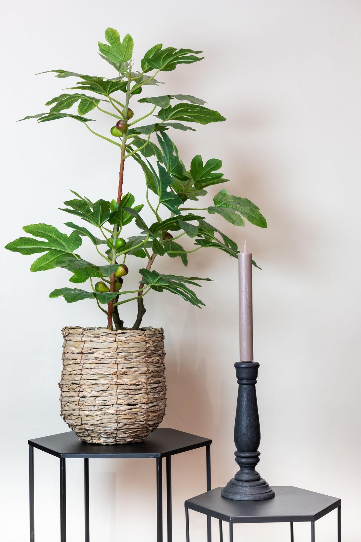 Kunstpflanze - Ficus carica - Feigenbaum