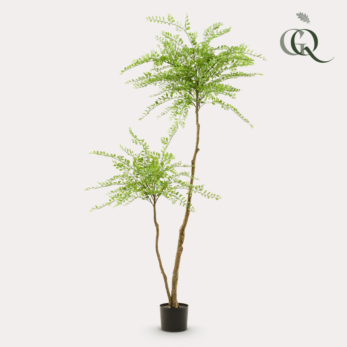 kunstplant - Sophora tree  - Honingboom