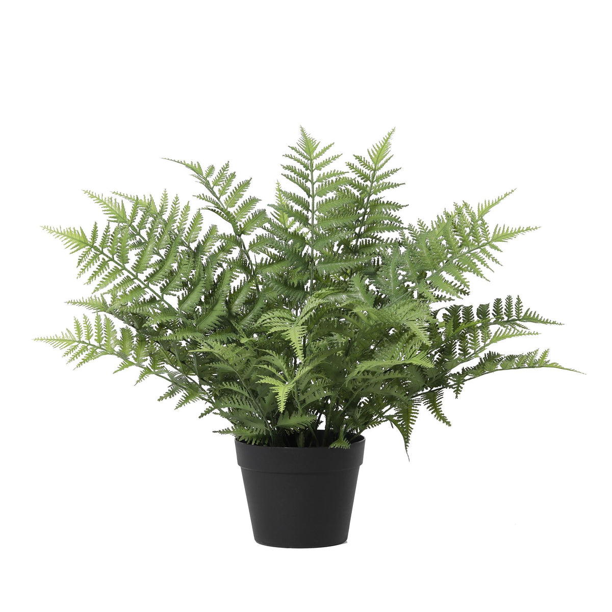 ARTIFICIAL Nephrolepis exaltata