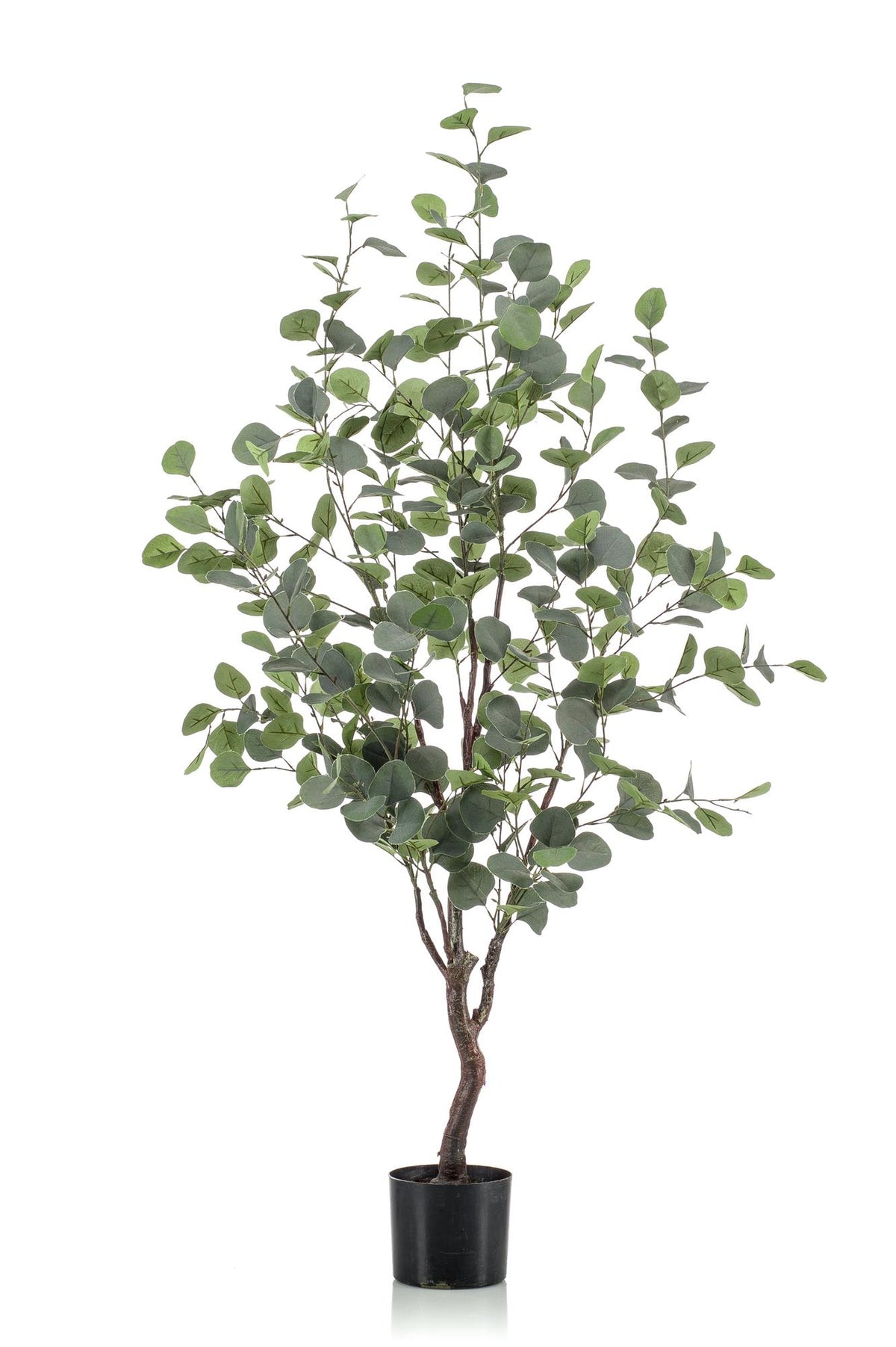 Kunstpflanze - Eucalyptusbaum - Blauer Gummibaum
