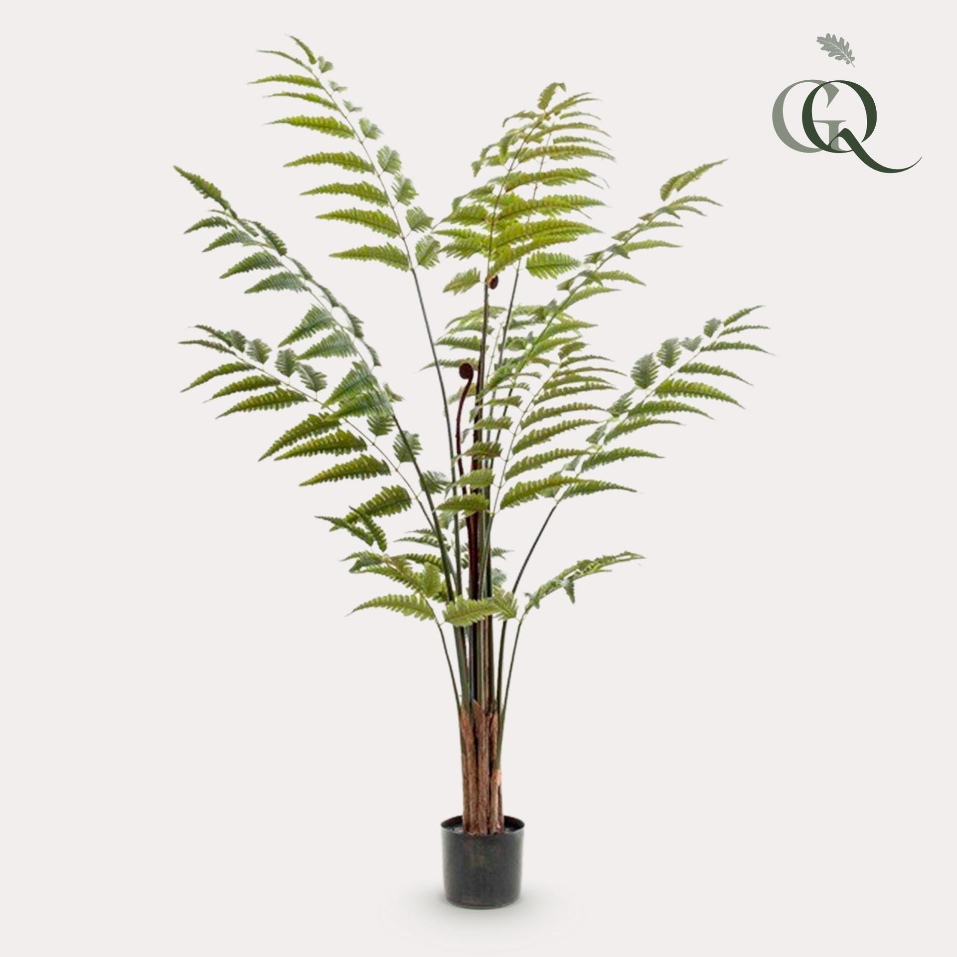 Kunstpflanze – Rumohra adiantiformis – Lederfarn – 150 cm
