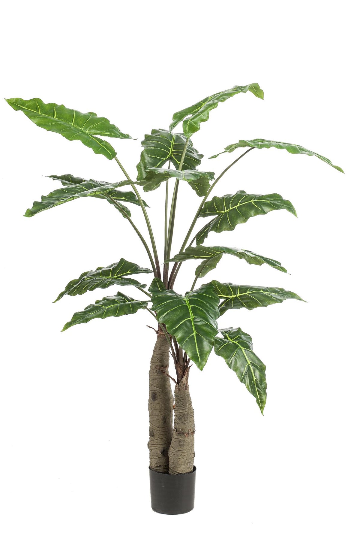 Kunstpflanze - Alocasia