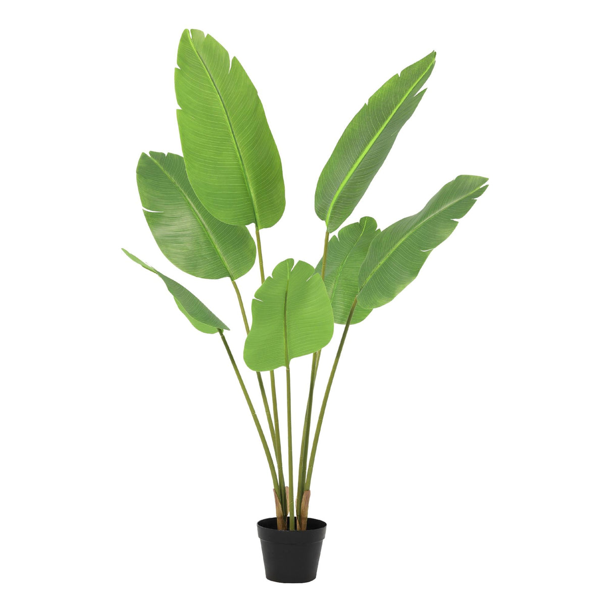 ARTIFICIAL Strelitzia Nicolai