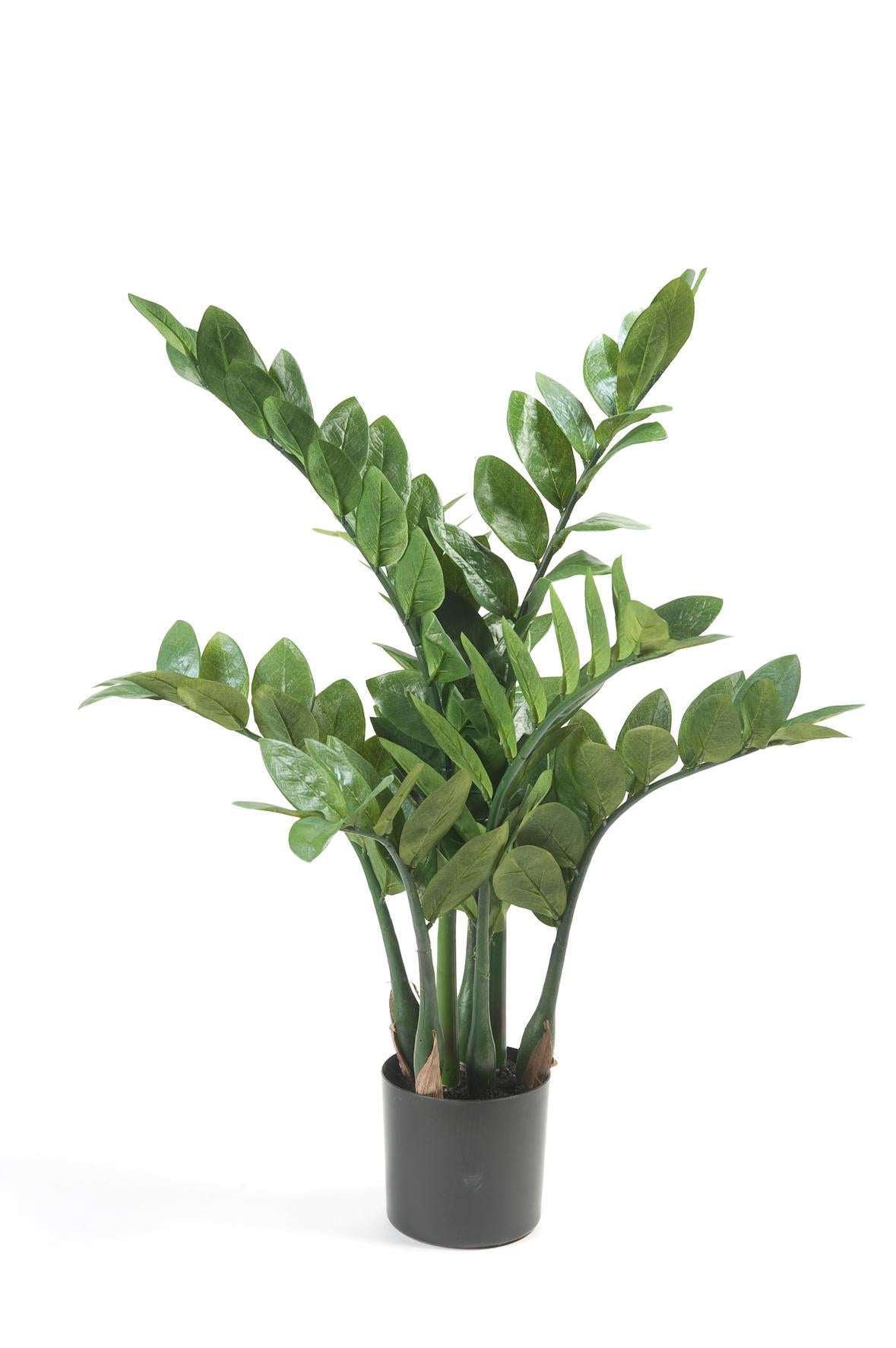 Kunstpflanze - Zamioculcas - Zimmerpalme