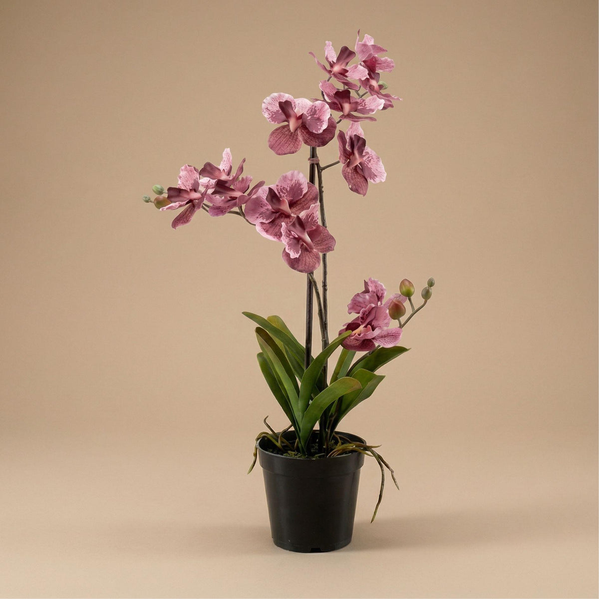 Orchidee Vanda kunstplant 60 cm - Oudroze - In pot - Artificial plant