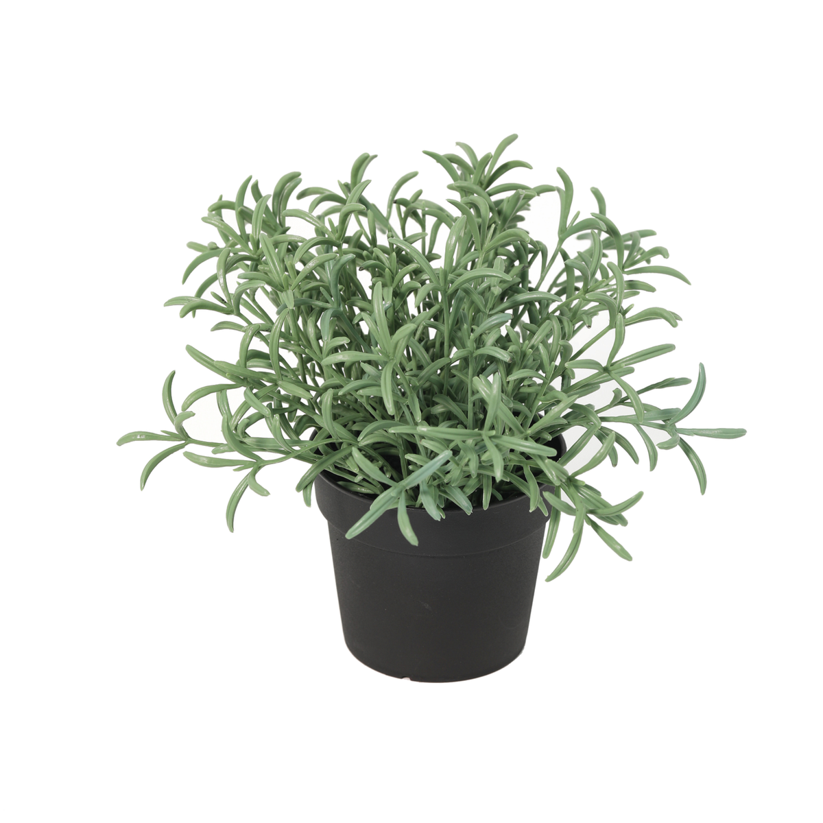 ARTIFICIAL Helichrysum italicum