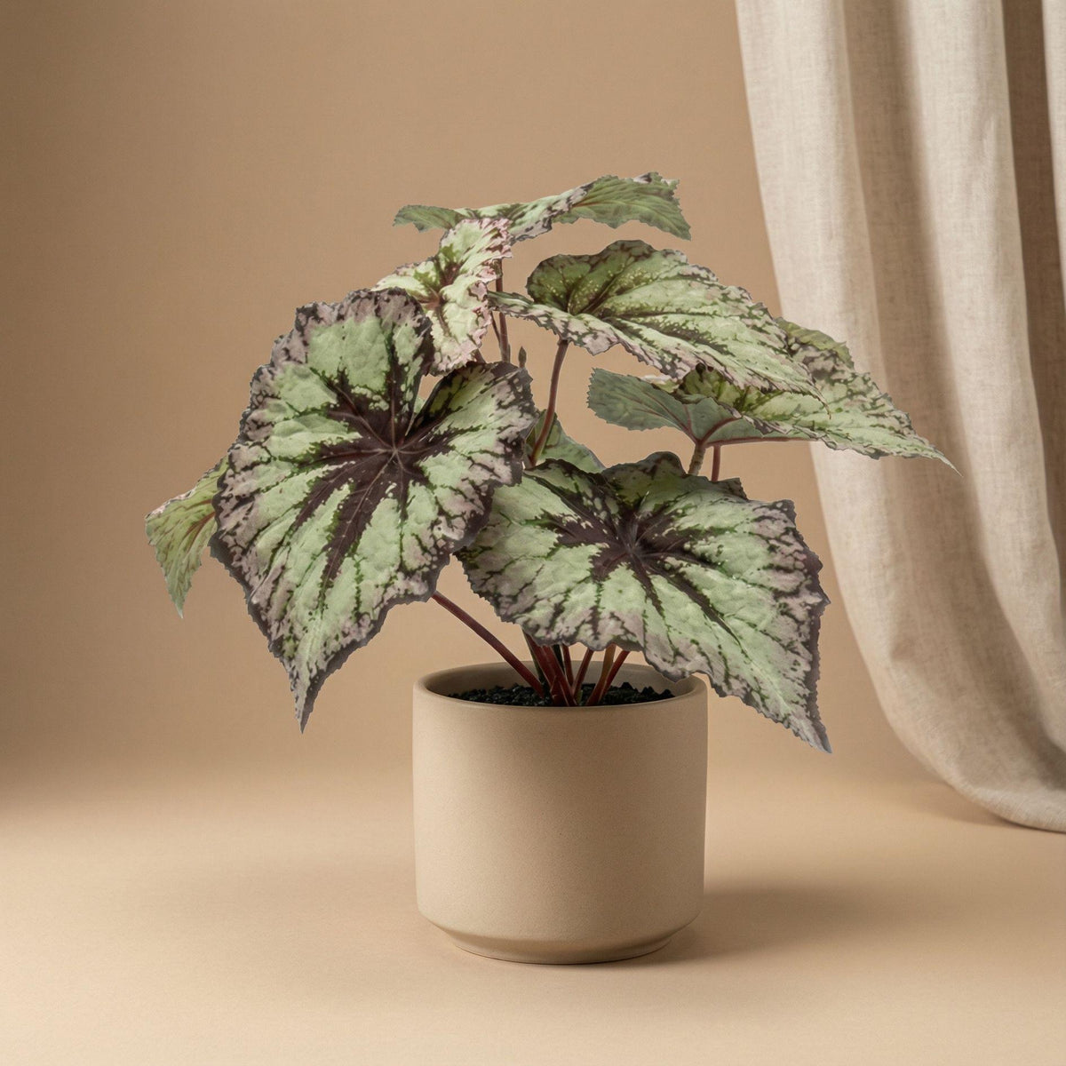Begonia 26 cm - Kunstplant in pot - UV - Artificial plant