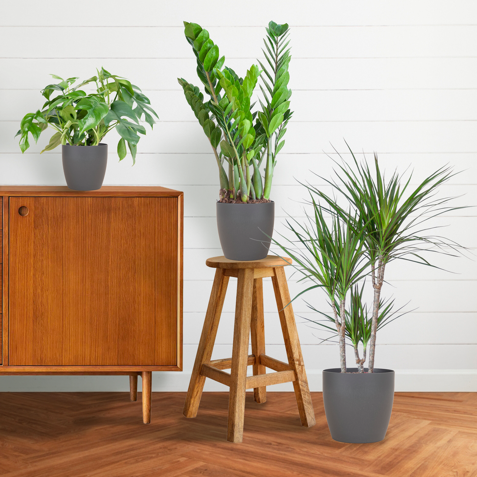 Shade Plant Box – medium – mit Vibers-Topf grau