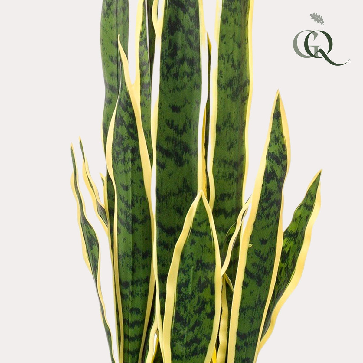 Kunstpflanze - Sansevieria Trifasciata - Bogenhanf