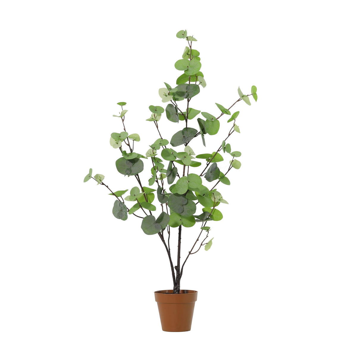 ARTIFICIAL Eucalyptus green