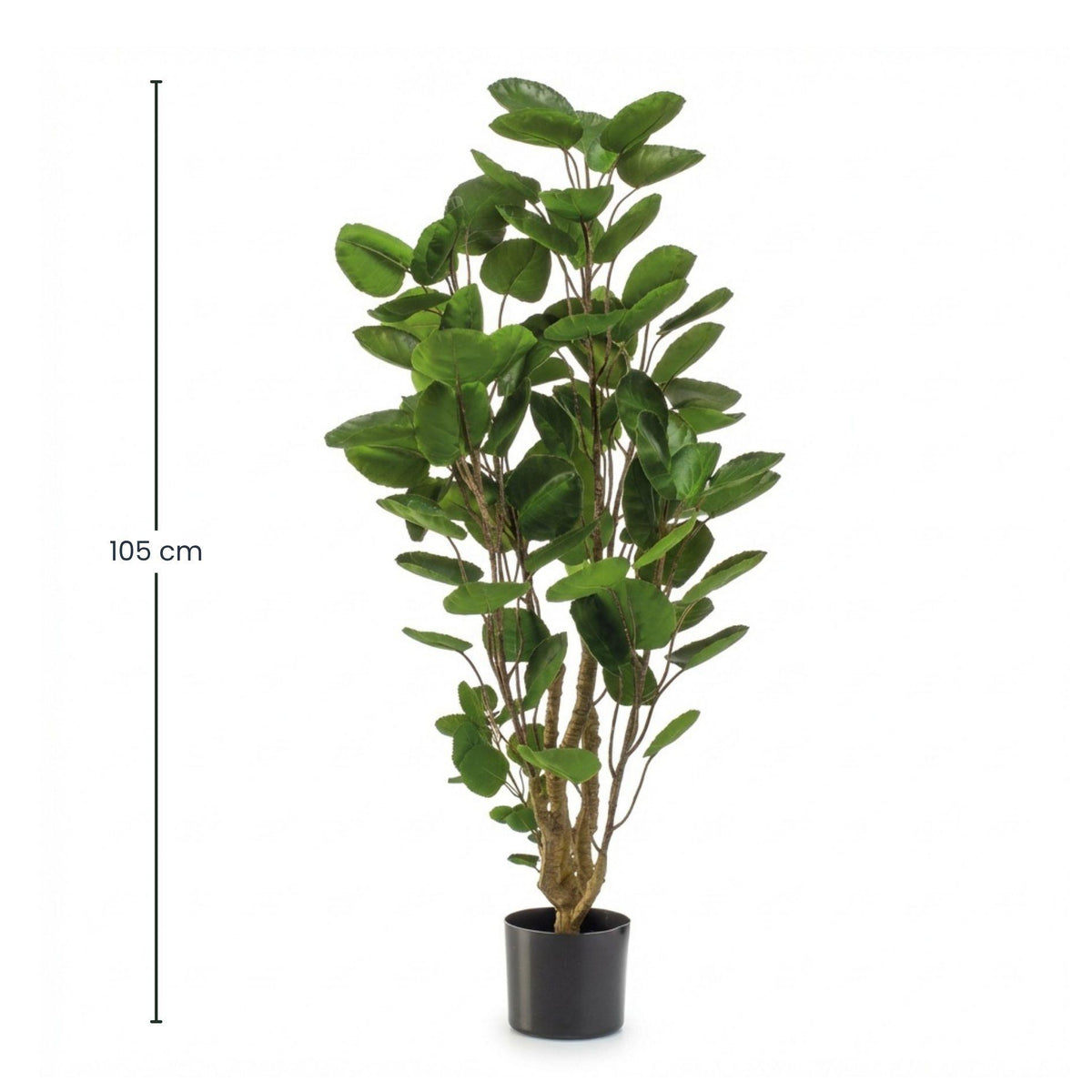 Polysciasbaum - 105 cm - Kunstpflanze