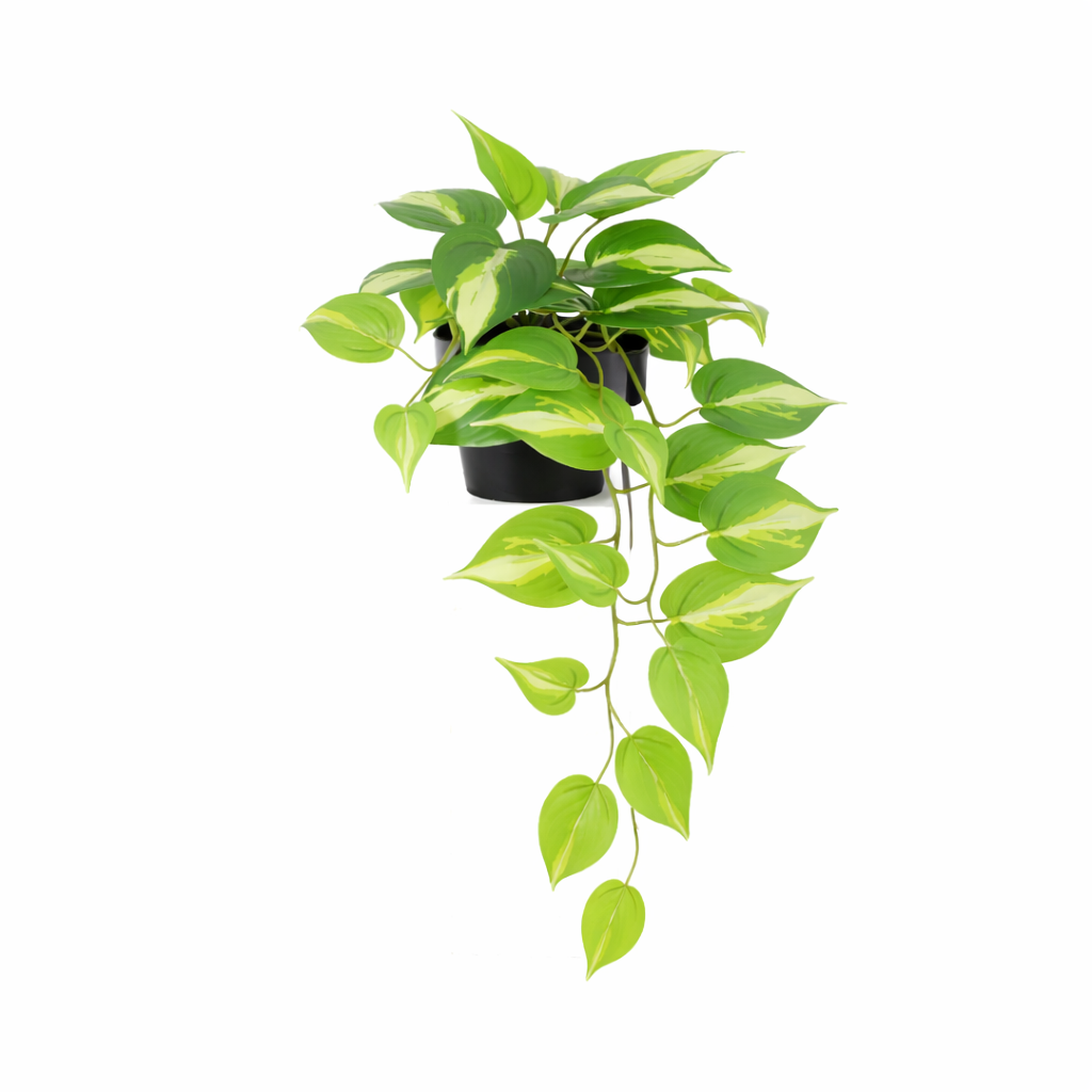 ARTIFICIAL Epipremnum Variegata