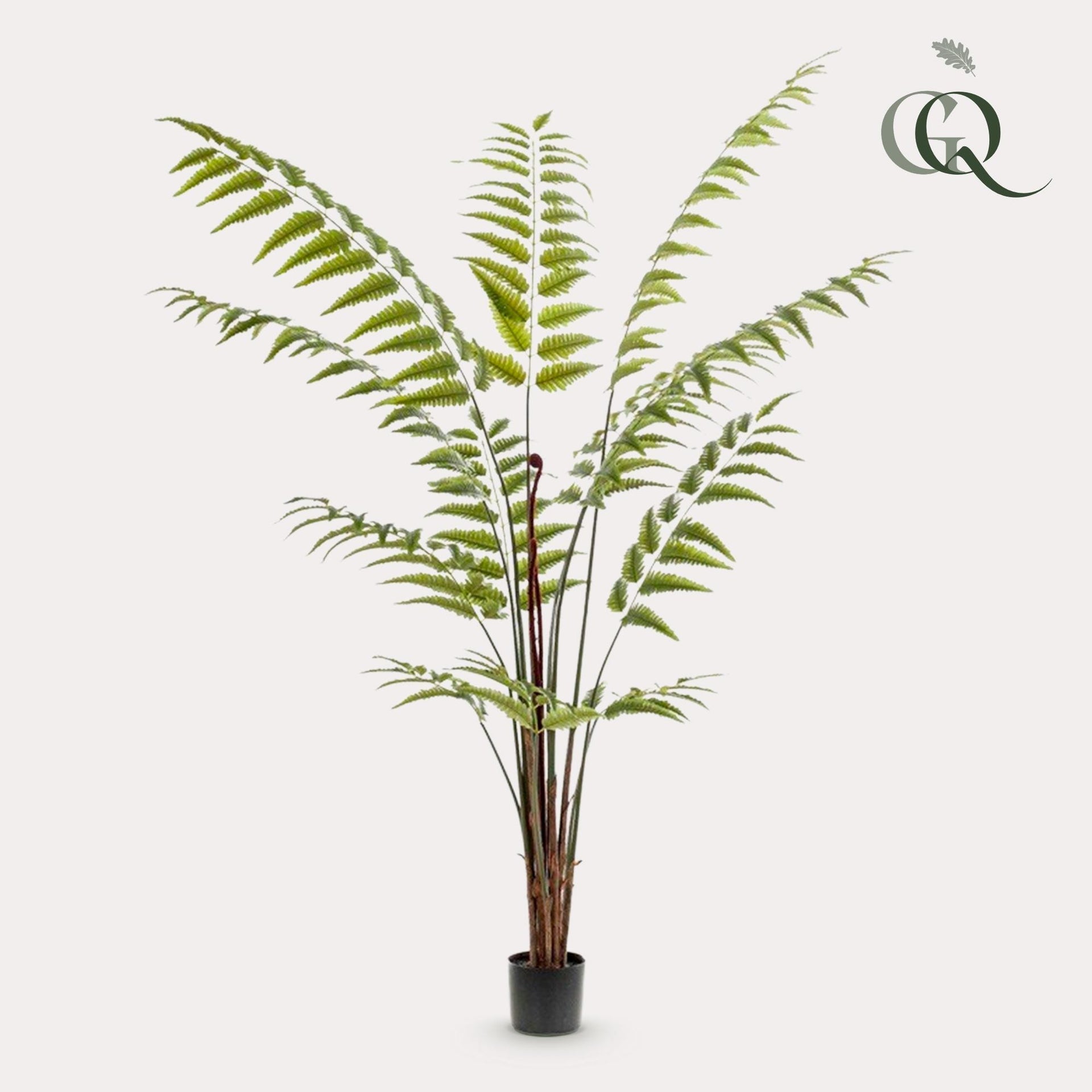 Kunstpflanze - Rumohra adiantiformis - Lederfarn