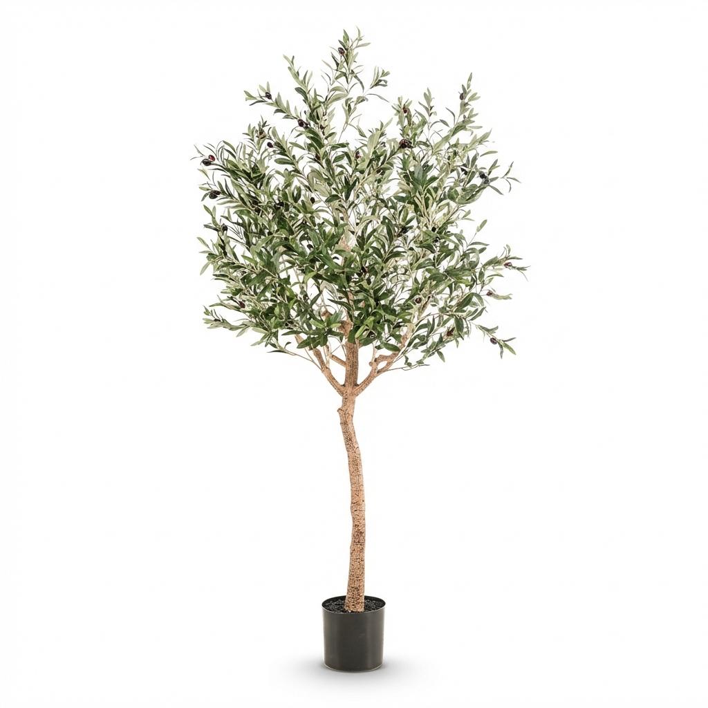 Kunstpflanze - Olea europaea - Olivenbaum