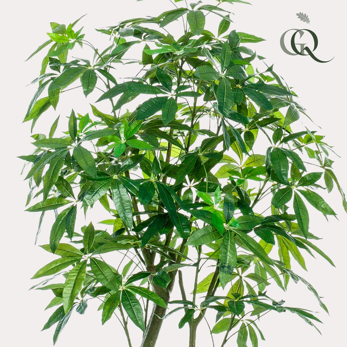 Kunstpflanze - Pachira Aquatica - Glückskastanie