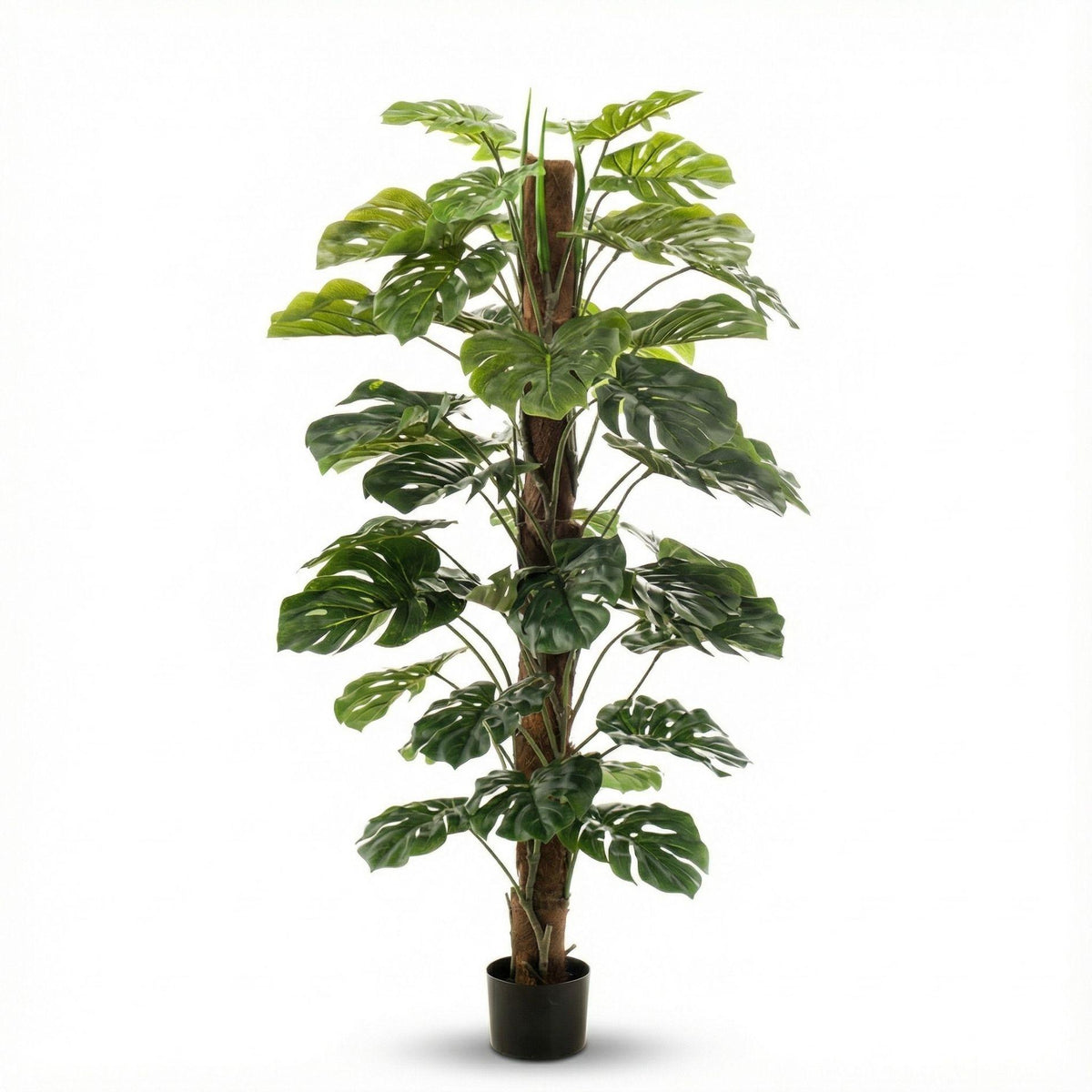 Monstera op stam 150 cm - Kunstplant - Artificial Plant