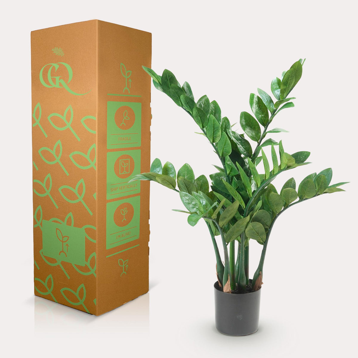 Kunstpflanze - Zamioculcas - Zimmerpalme