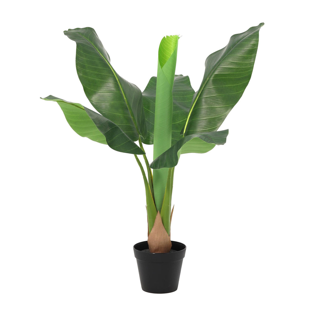 ARTIFICIAL Banana plant Musa