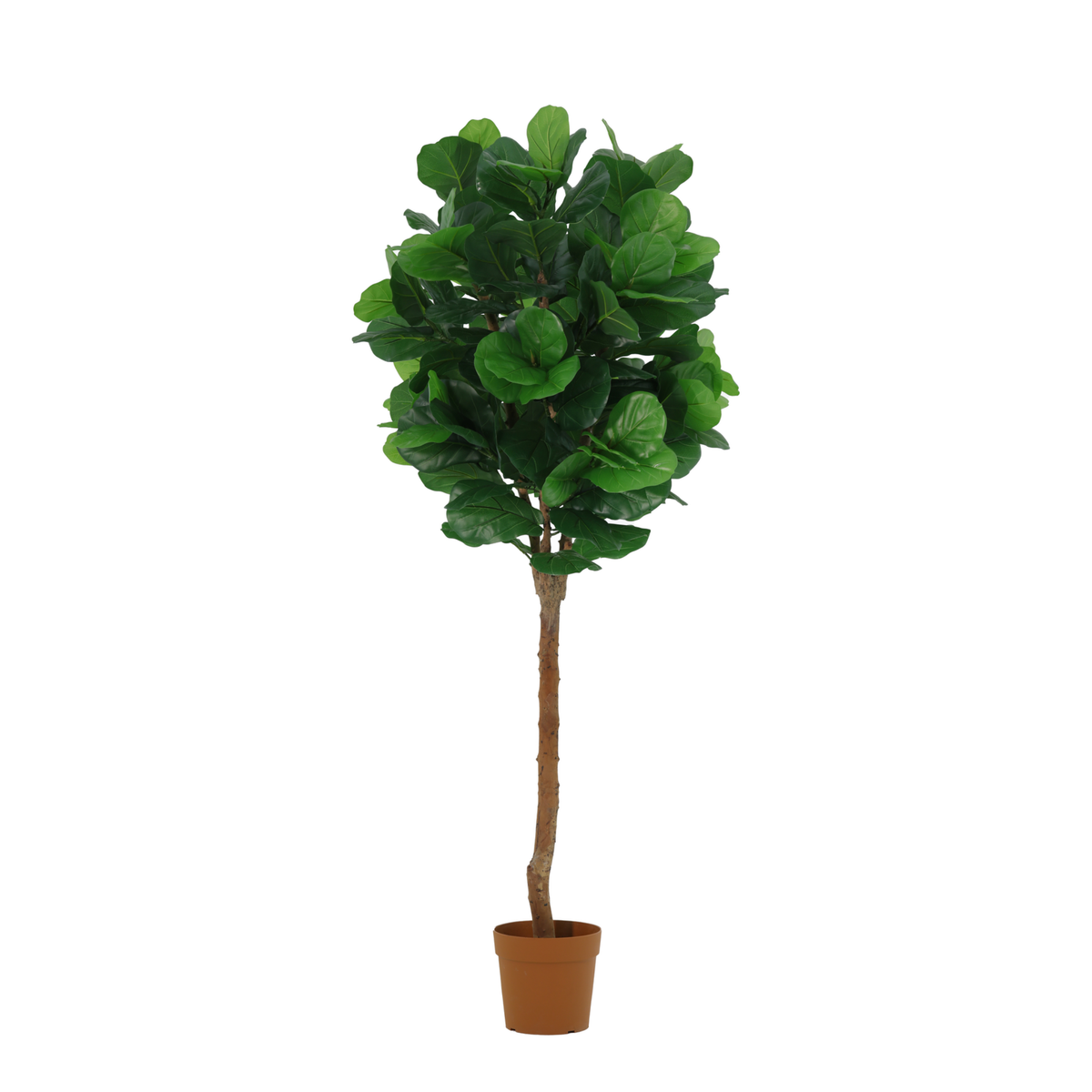 ARTIFICIAL Ficus lyrata tree