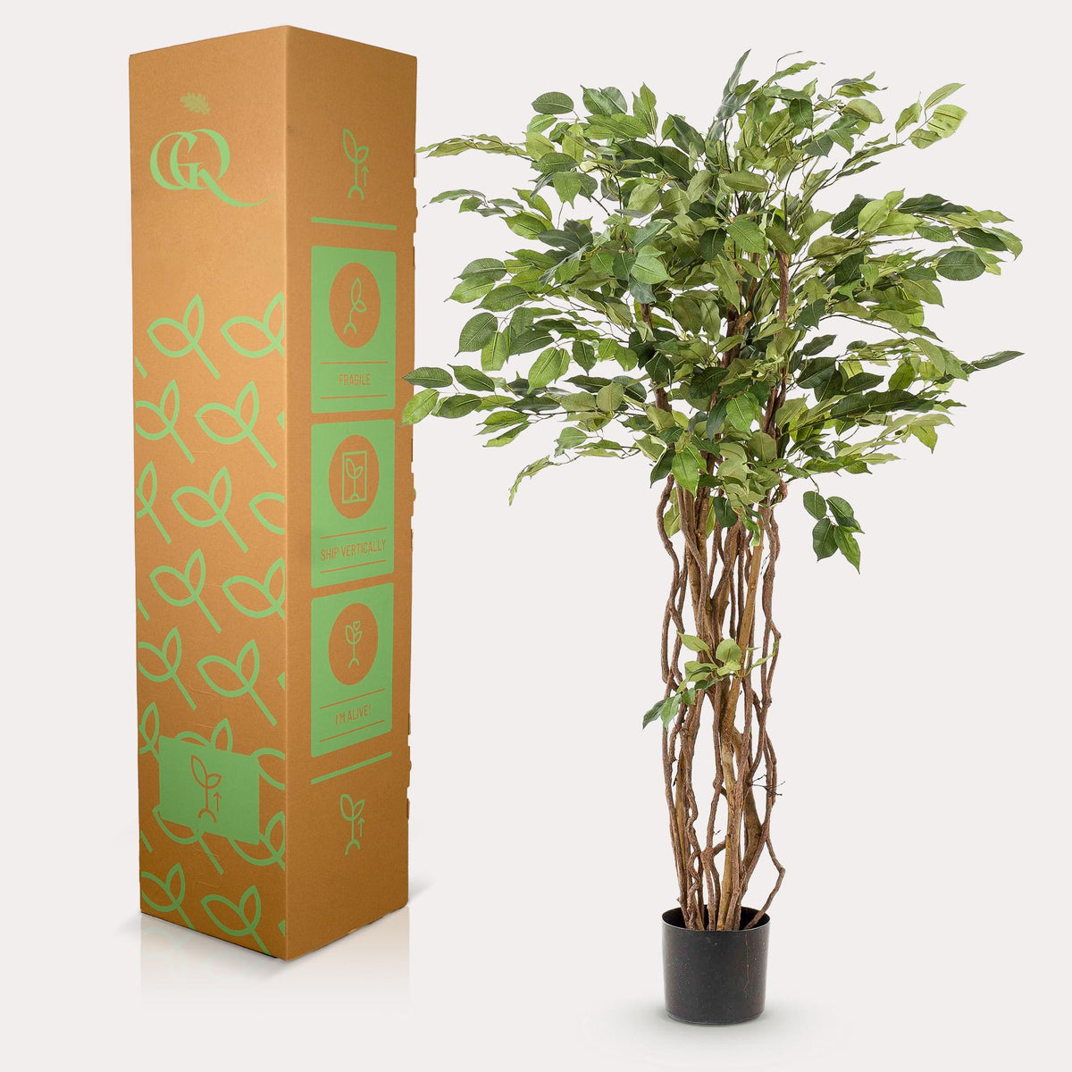 kunstplant - Ficus liana  - Vioolbladplant