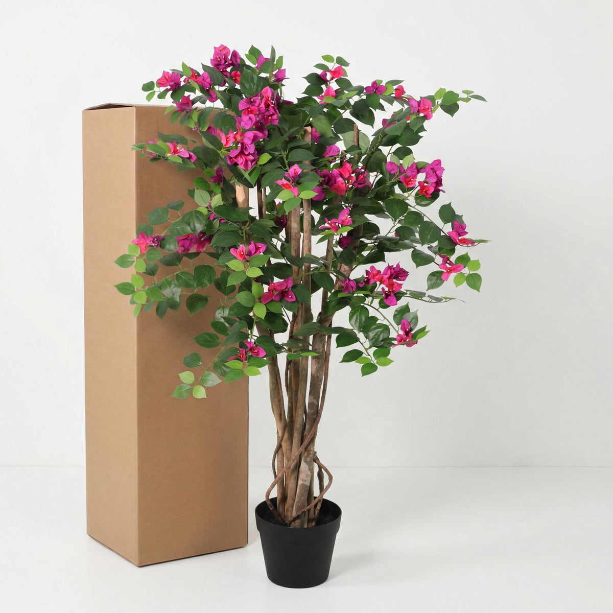 ARTIFICIAL Bougainville