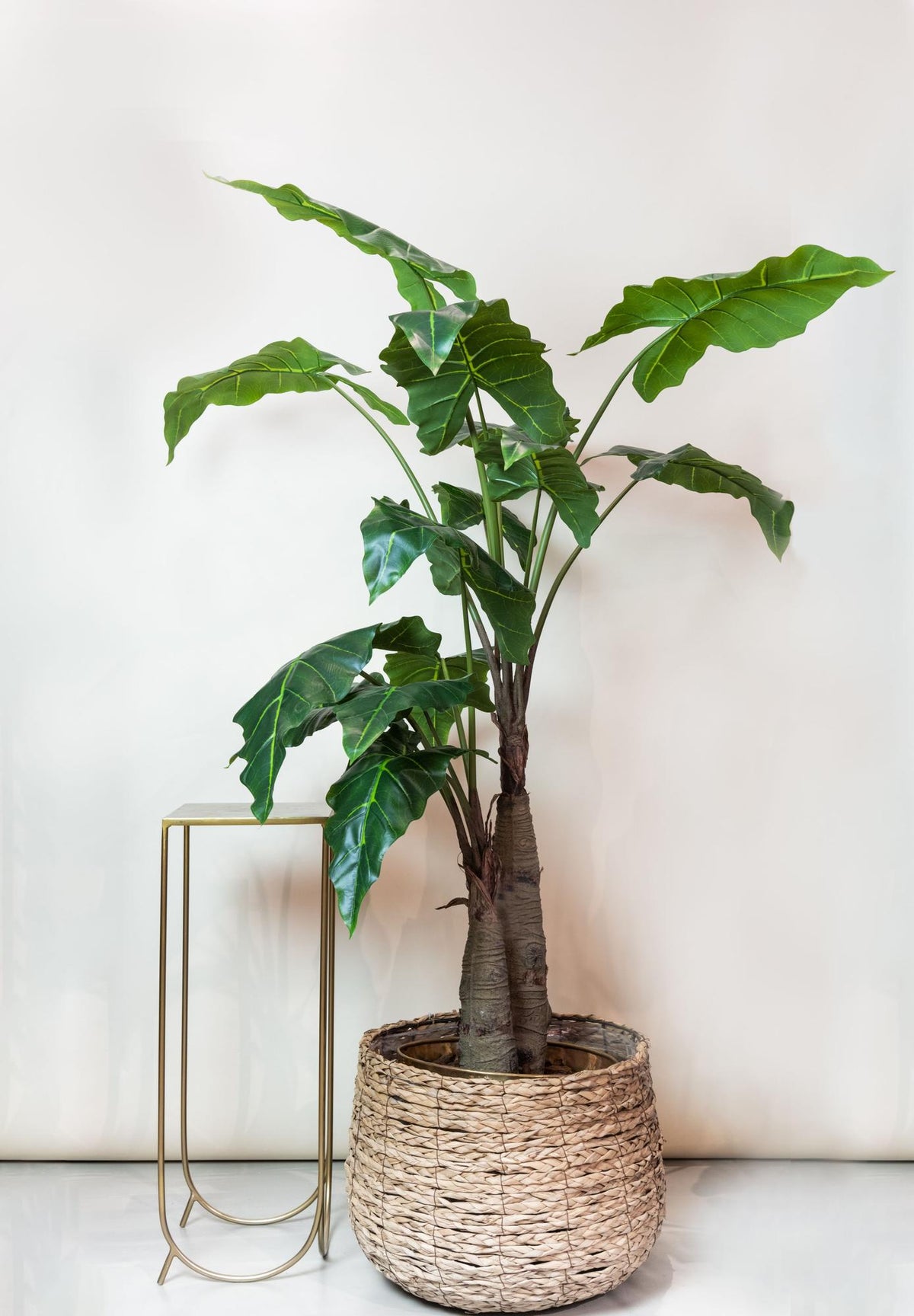 Kunstpflanze - Alocasia