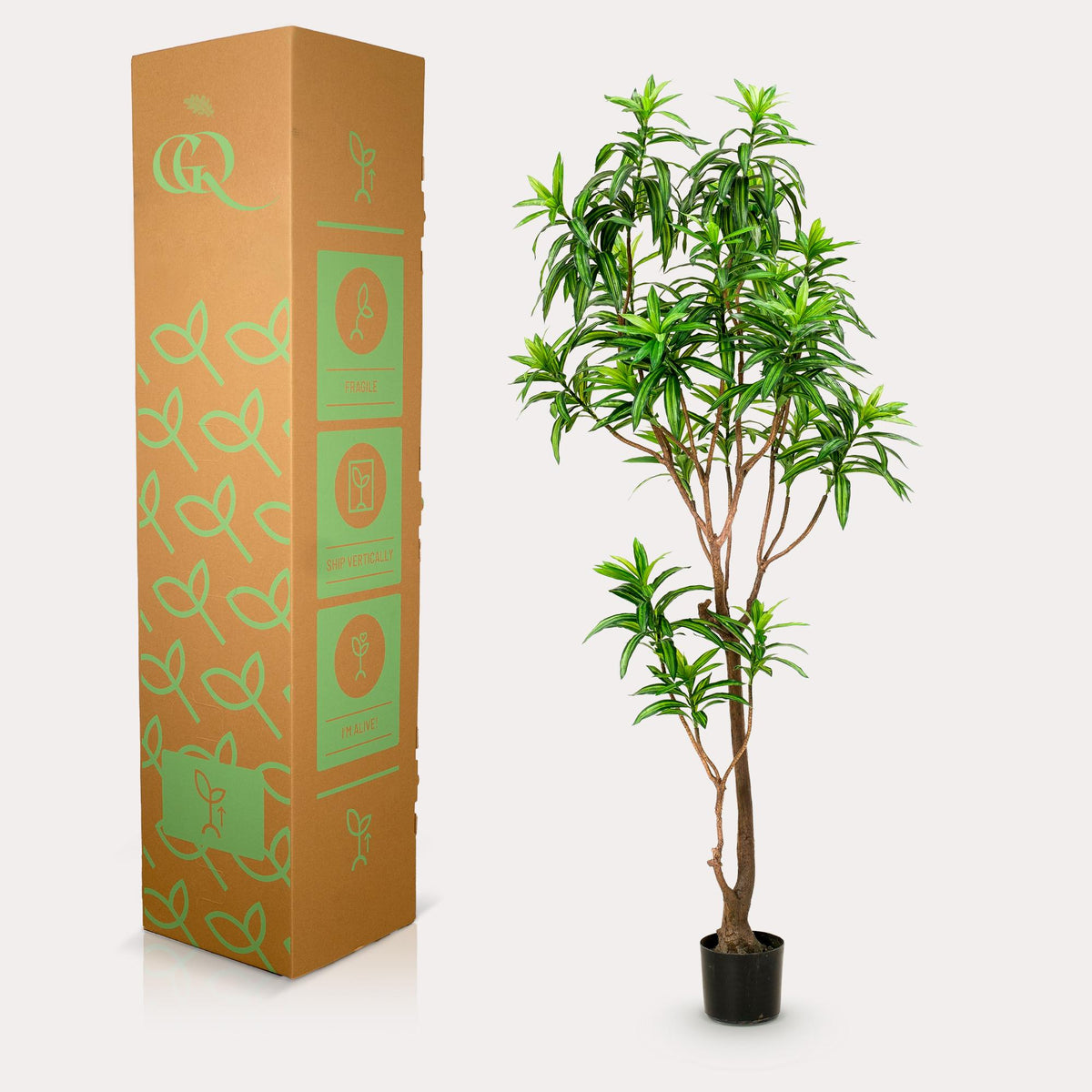 Kunstpflanze - Dracaena - Drachenbaum