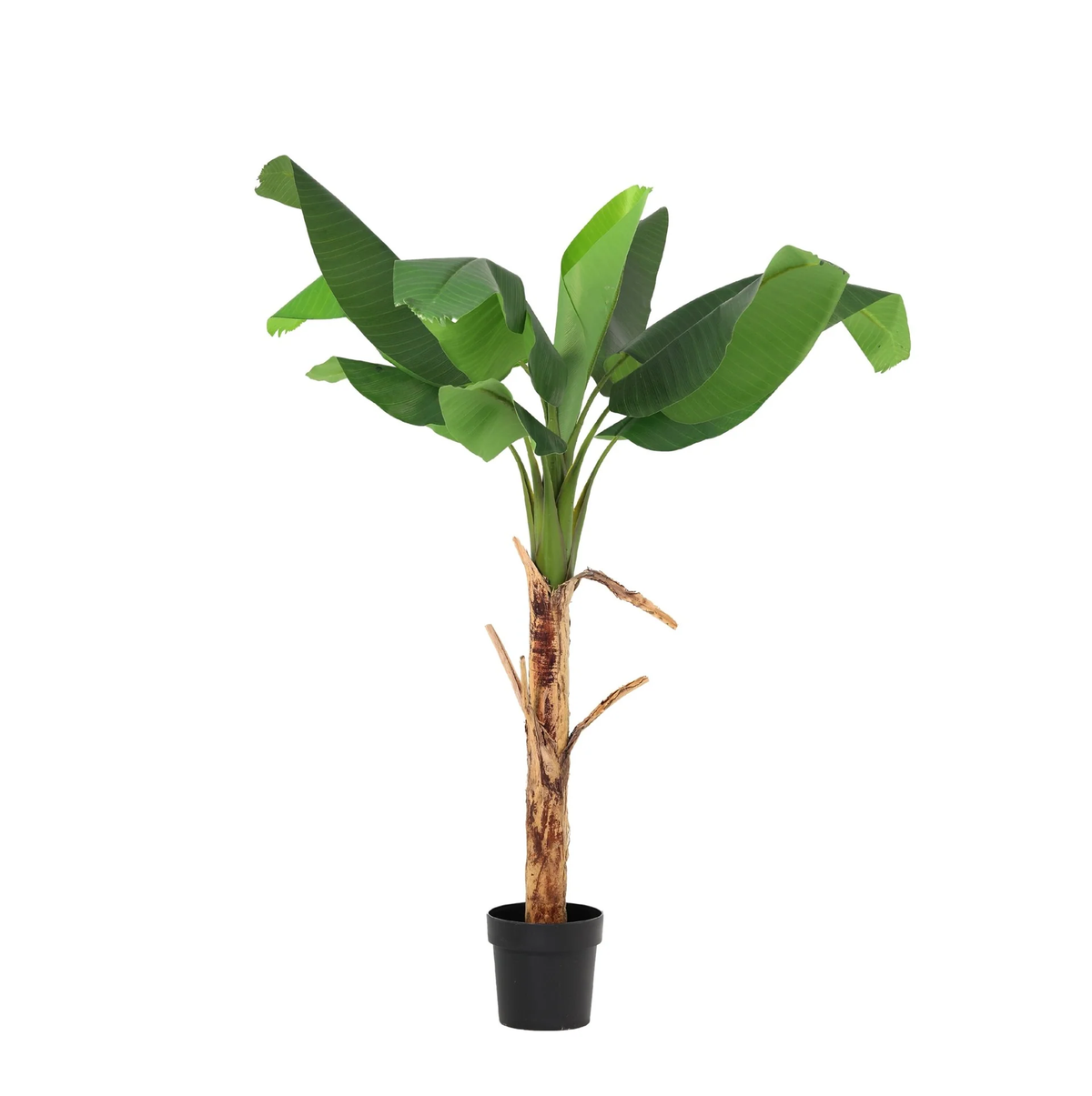 ARTIFICIAL Banana plant Musa