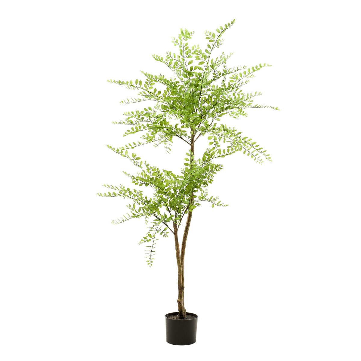 kunstplant - Sophora tree  - Honingboom
