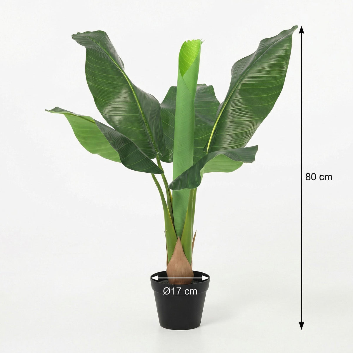 ARTIFICIAL Banana plant Musa