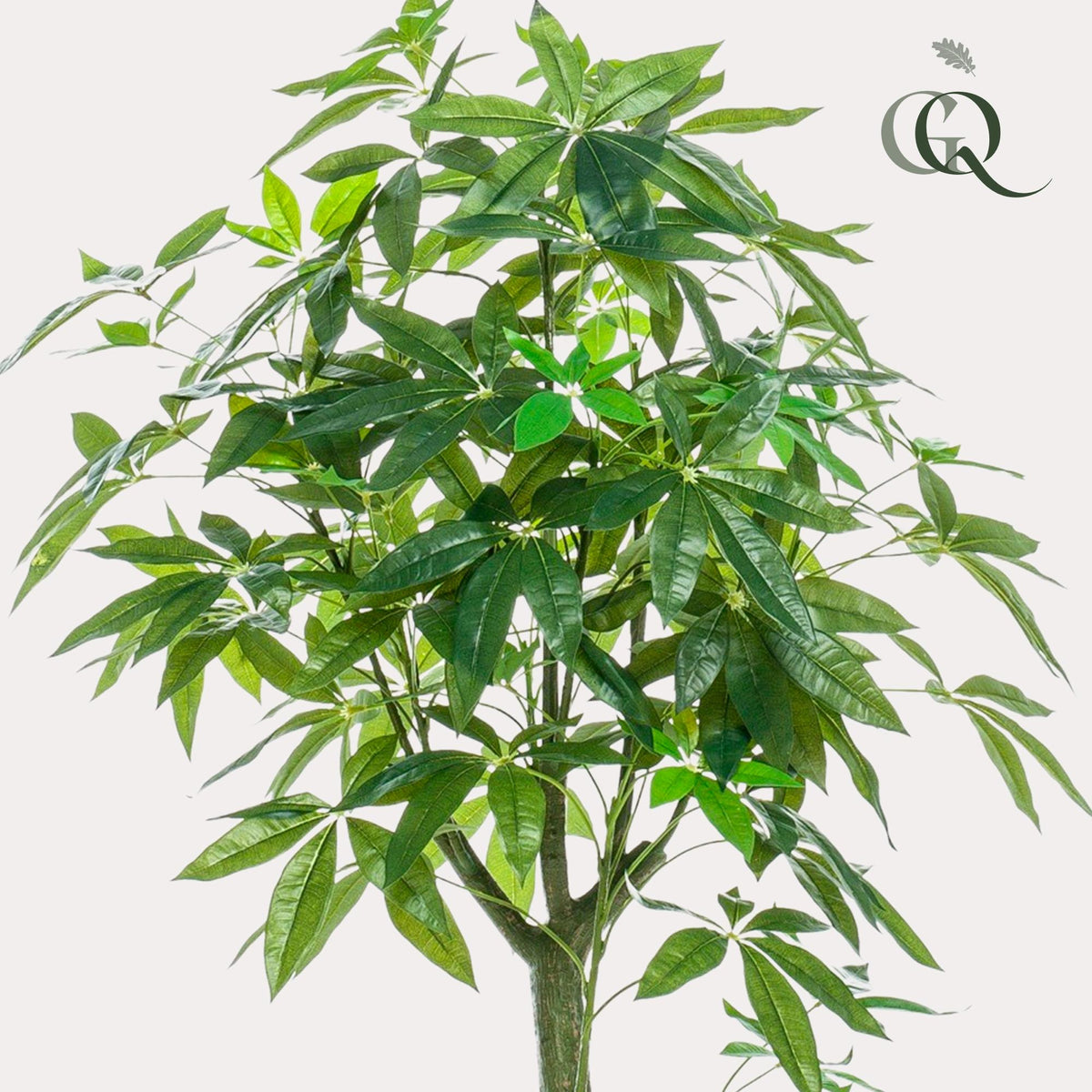 Kunstpflanze - Pachira Aquatica - Glückskastanie