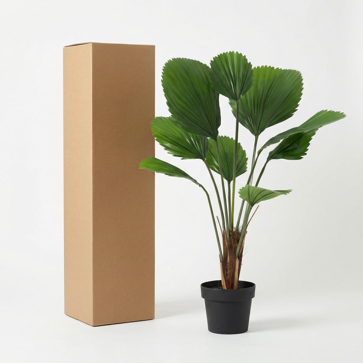 ARTIFICIAL Licuala Grandis